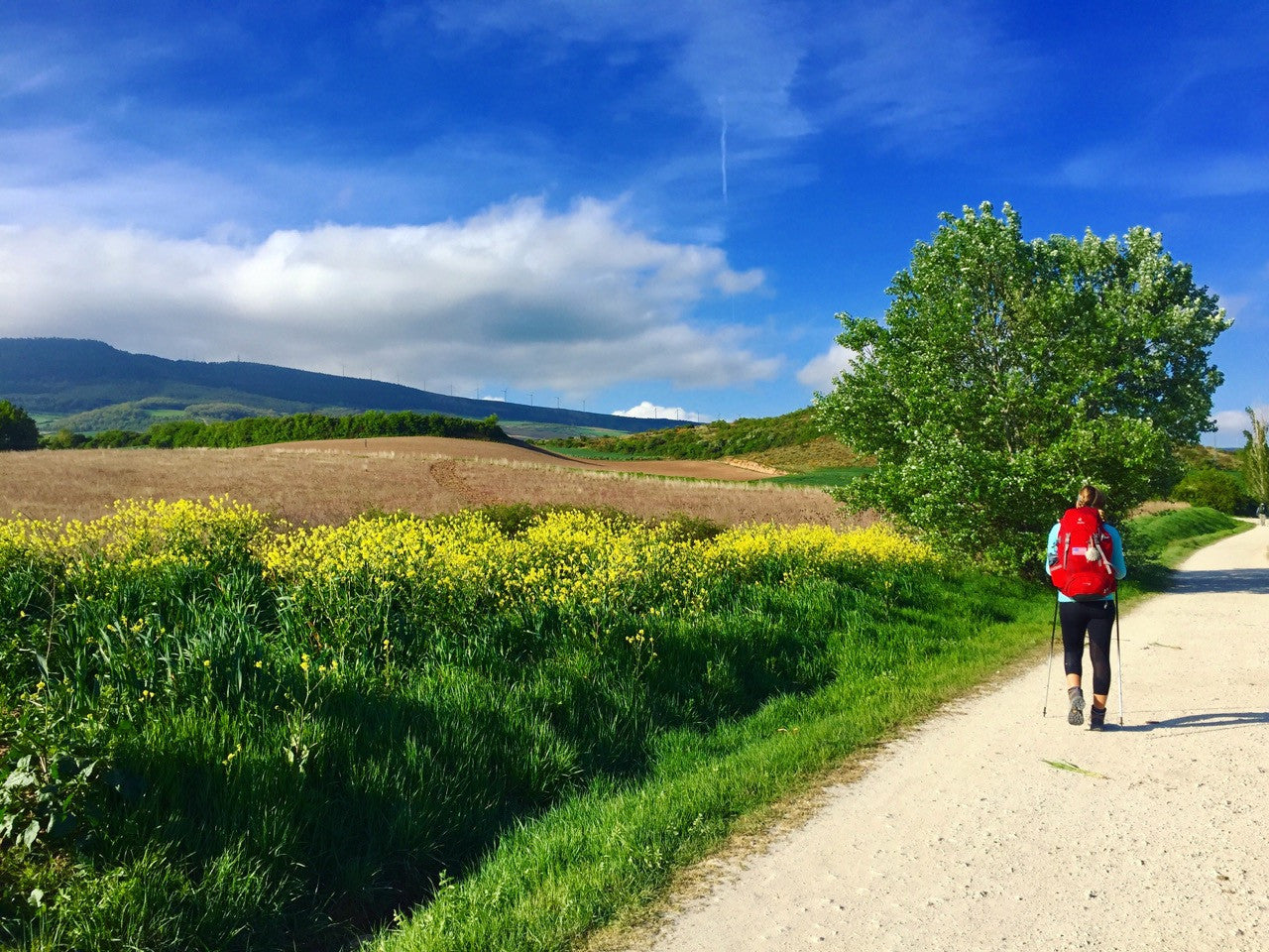 Camino de Santiago