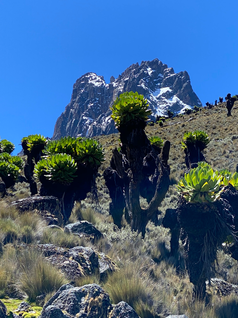Mt. Kenya