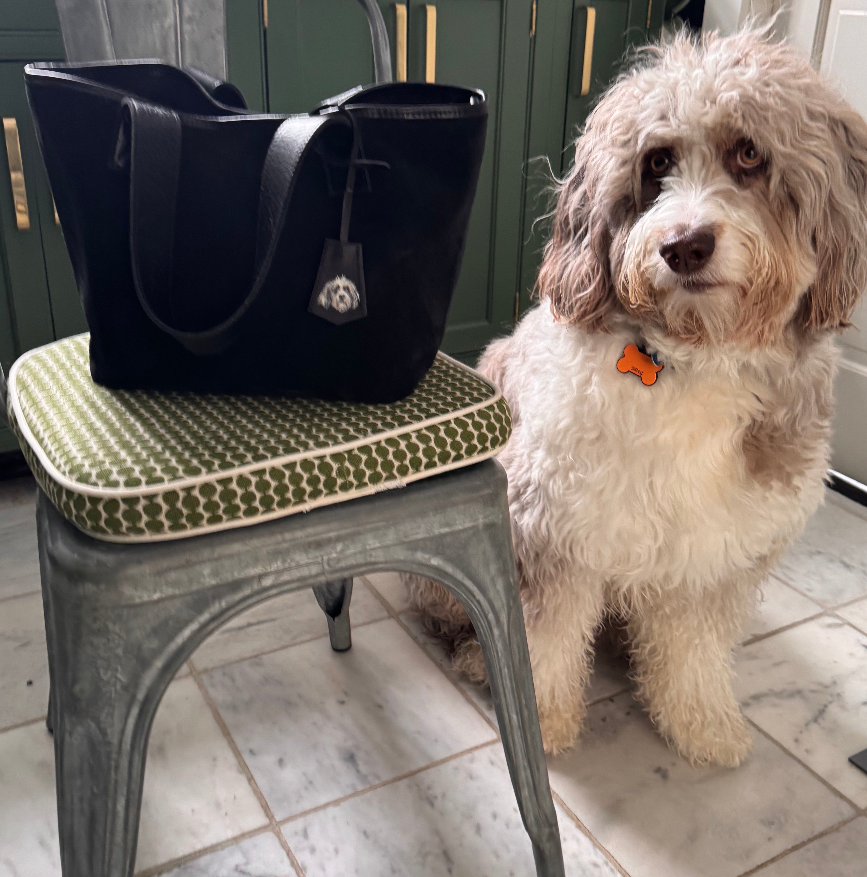 Custom Pet Fob