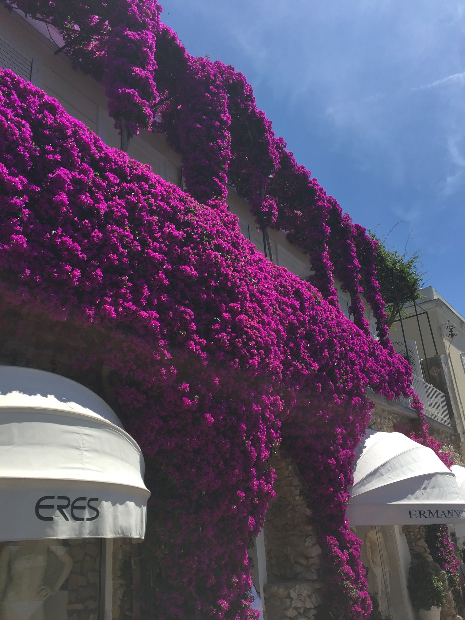 Capri